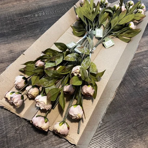 8 Tan Peonies- Ashland Stem